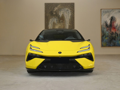 Lotus Emeya  Фото №2
